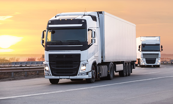 Buena Vista SCM Private Limited